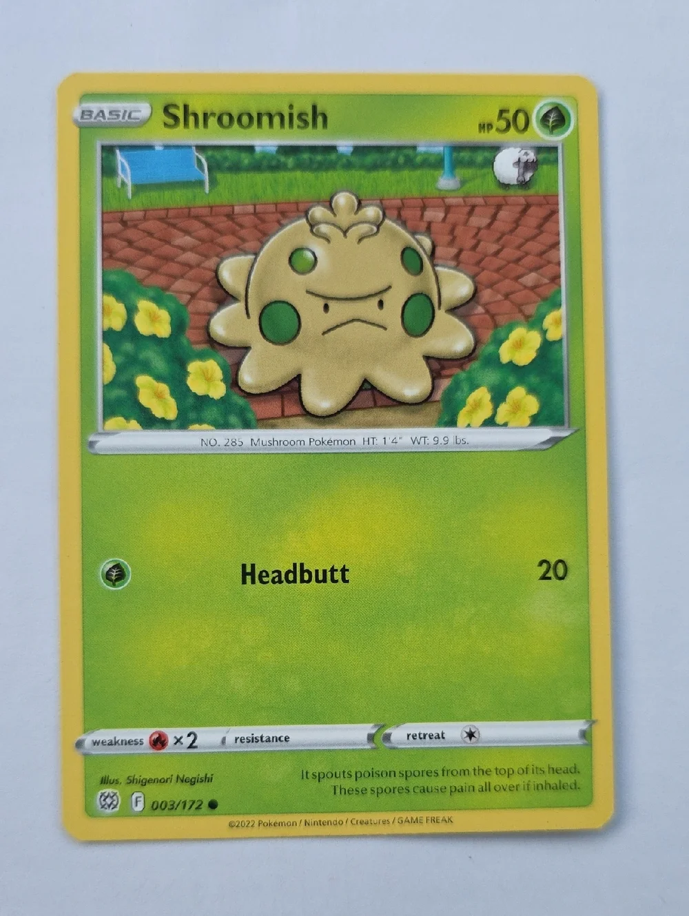 shroomish pokemon cards Pokemon | Toys | Pokemon Shroomish Trading Card Yellow Green